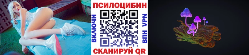 магазин продажи   Билибино  Галлюциногенные грибы MAGIC MUSHROOMS 